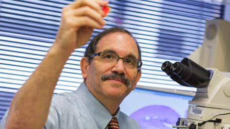 Evan Janovitz, DVM, PhD, DAVCP